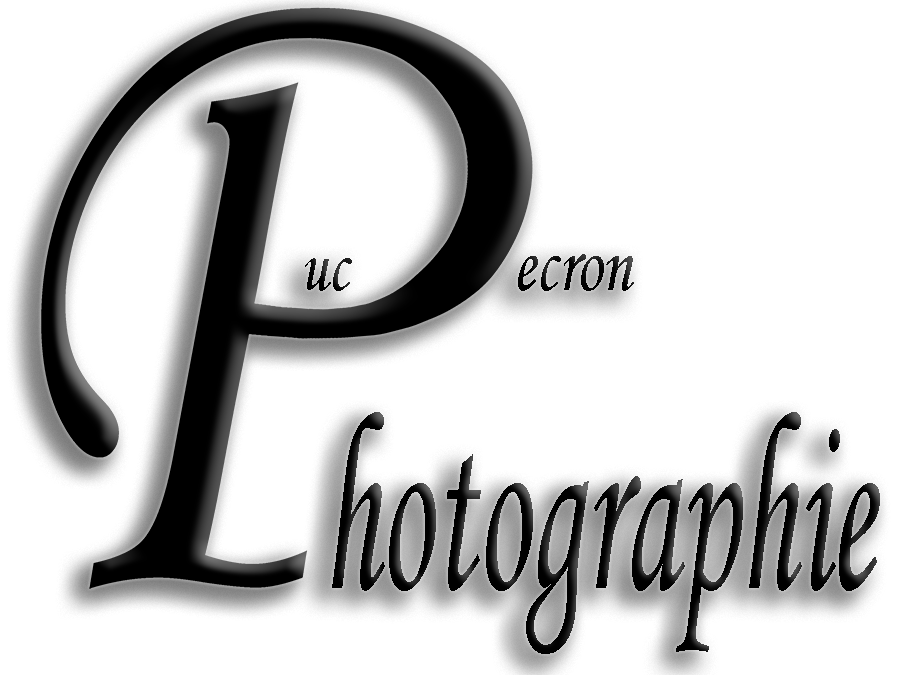 Logo Luc Decron Photographie